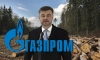 Пансионат вместо природы: "Газпром" и Генплан лишают петербуржцев леса